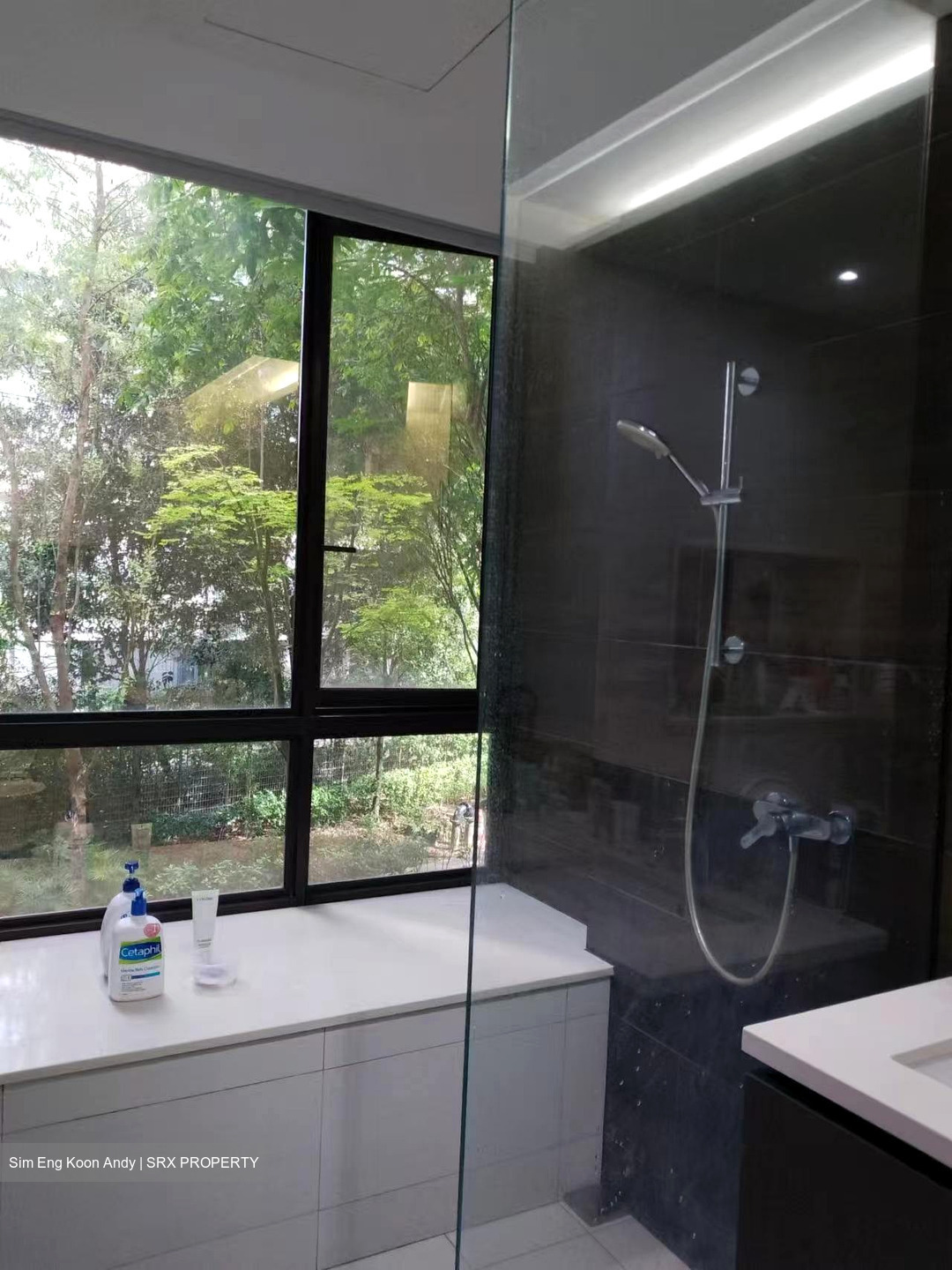 d'Nest (D18), Condominium #531561561